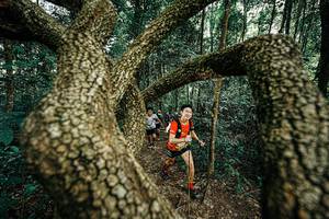 BIB: 
                            <button type="button" onclick="openModal(25393118)" class="btn btn-primary btn-sm float-right btn-popup" data-toggle="modal" data-target=".modal-high-quality">
                        <i class="fas fa-shopping-cart"></i> Add to Cart
                    </button>
                                            <button type="button" onclick="isThisMe(25393118, true)" class="btn btn-success btn-sm float-right btn-popup btn-isme hidden" data-toggle="tooltip" data-placement="bottom" title="นี่คือรูปของคุณใช่ไหม คลิกที่นี่เพื่อเอาเข้าอัลบั้ม">
                        <i class="fas fa-plus"></i> Add to album
                    </button>
                    <button type="button" onclick="isThisMe(25393118, false)" class="btn btn-warning btn-sm float-right btn-popup btn-isnotme hidden">
                        <i class="fas fa-ban"></i> Remove from album
                    </button>